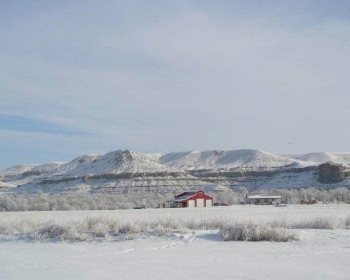 Wyoming survival ranch