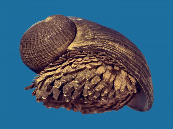 Iron snail